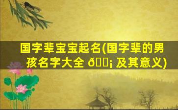 国字辈宝宝起名(国字辈的男孩名字大全 🐡 及其意义)